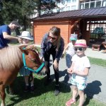 phoca_thumb_m_ponk 94 Fotogalerie